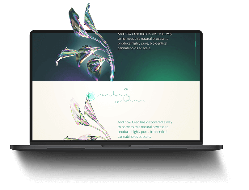 Creo content marketing desktop view