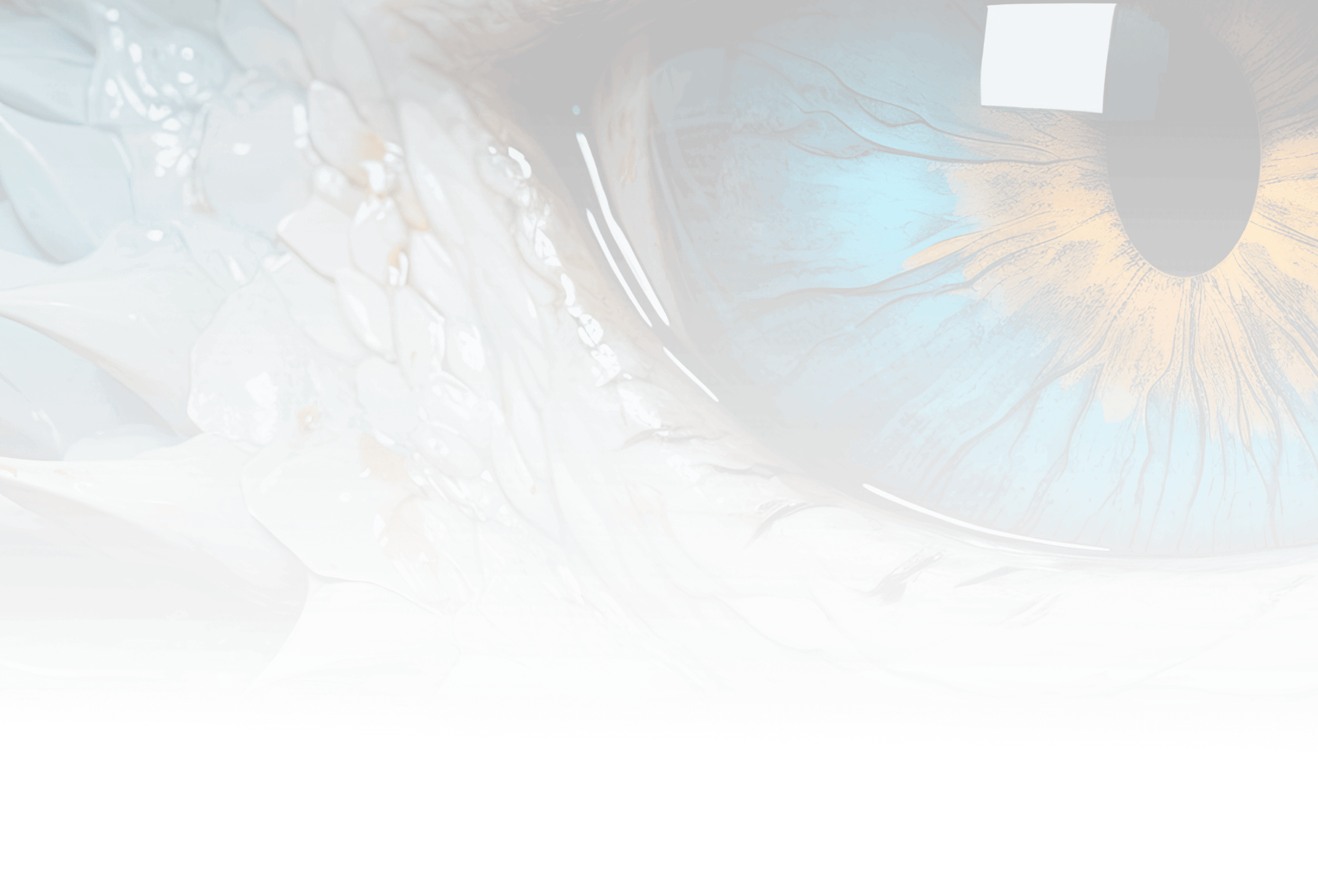 Green yellow eye transulscent background