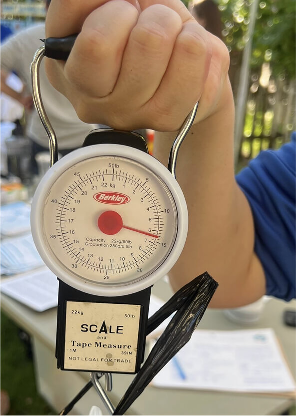 Weight Scale
