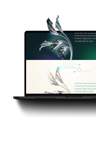 Laptop with flower growing out