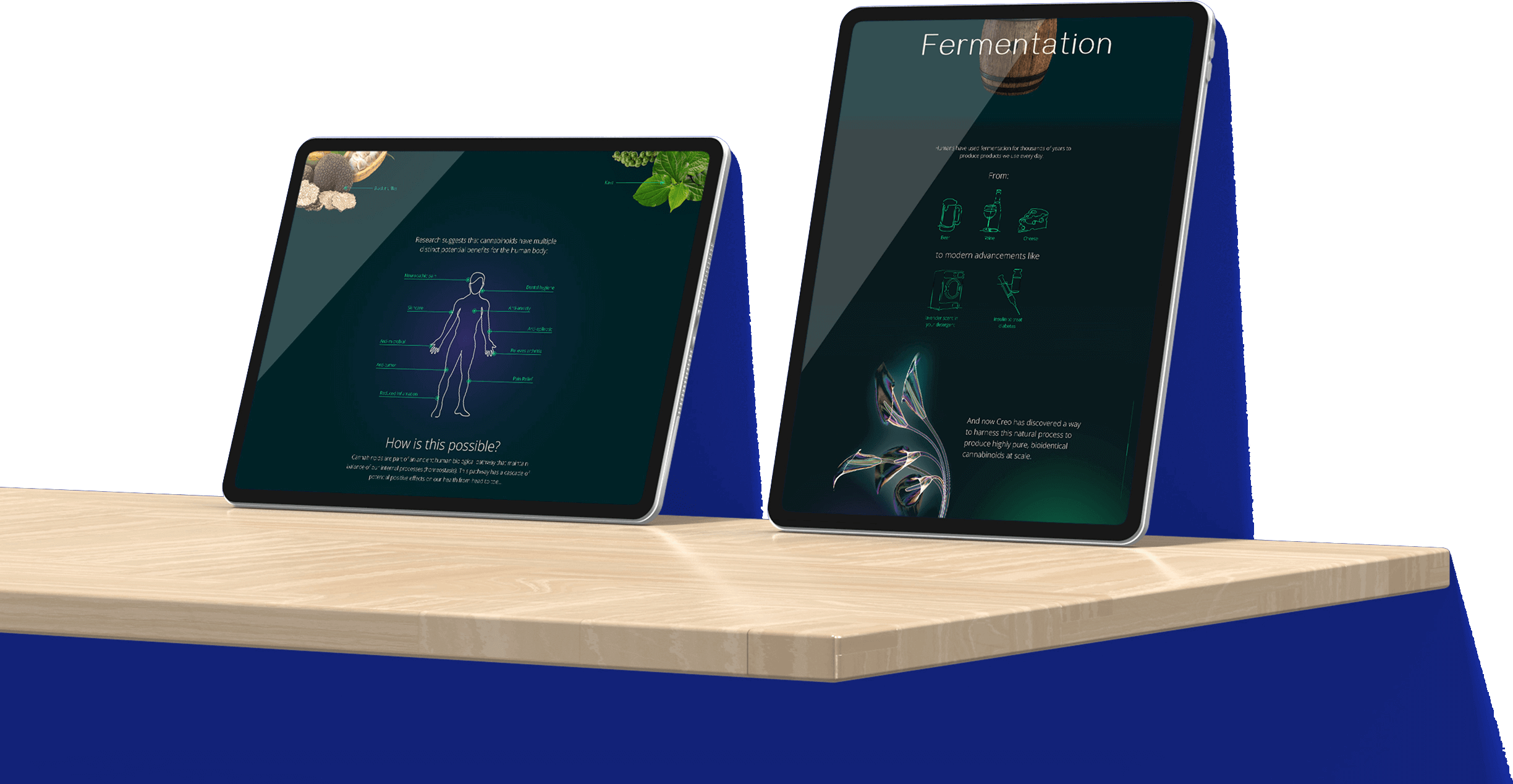 Creo content marketing tablet views