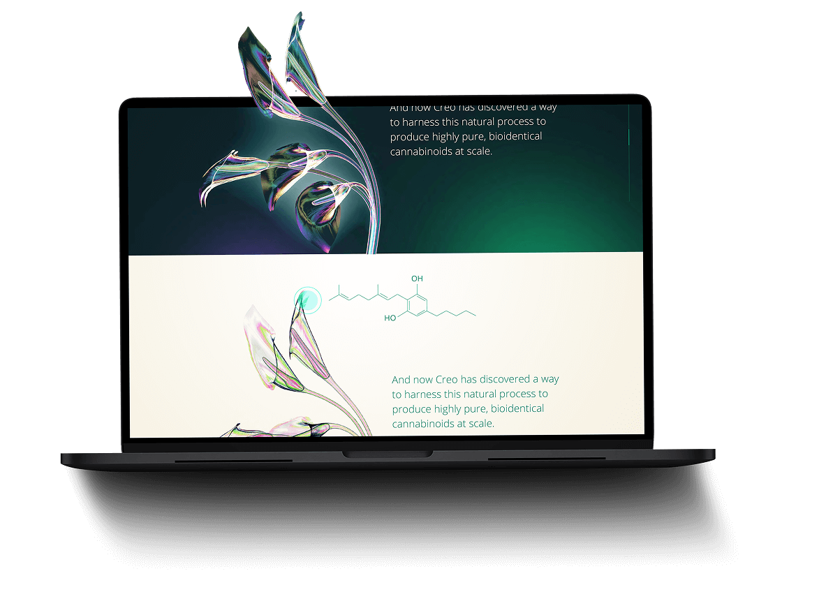 Laptop with creo screen
