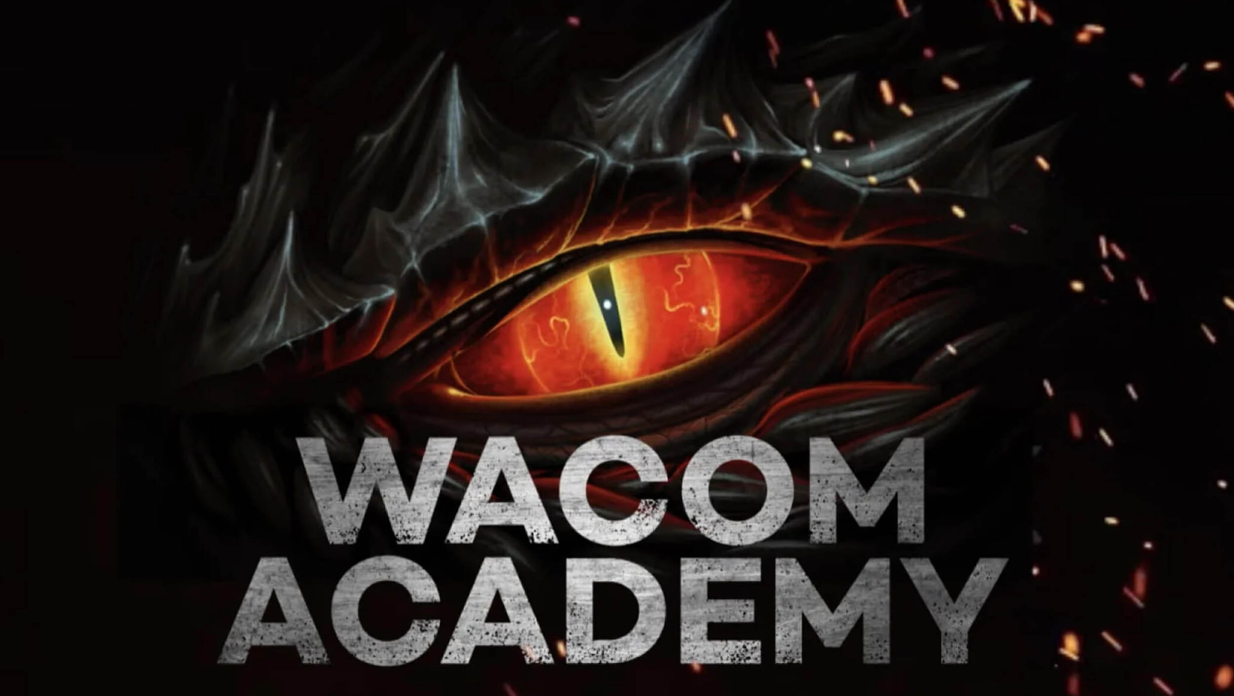 Wacom Academy video preview