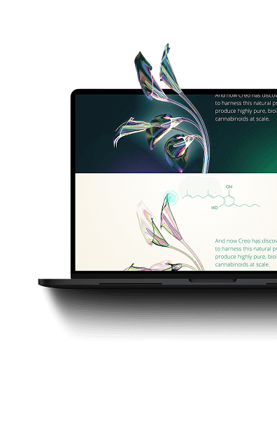 Laptop with flower growing out
